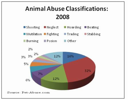 Global Issue - Animal Abuse